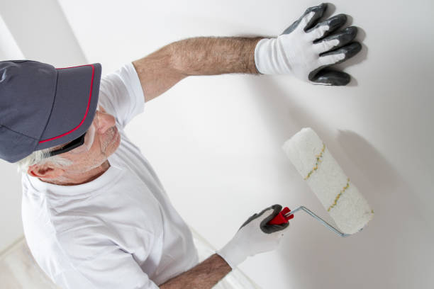 Best Drywall Sanding and Smoothing  in West Bend, WI